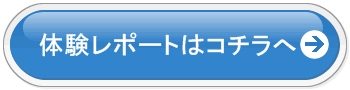 ビーグレン体験レポートへ